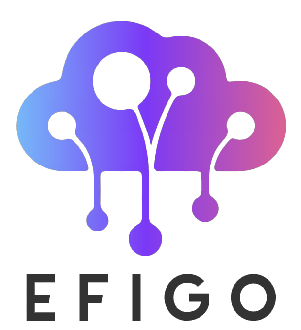 Efigo Informatique
